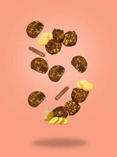 Load image into Gallery viewer, FodBods - Nibbles - Ginger & Spice (100g)