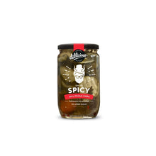 Load image into Gallery viewer, Dillicious - Oh So Spicy Dill Pickle Chips (675g)