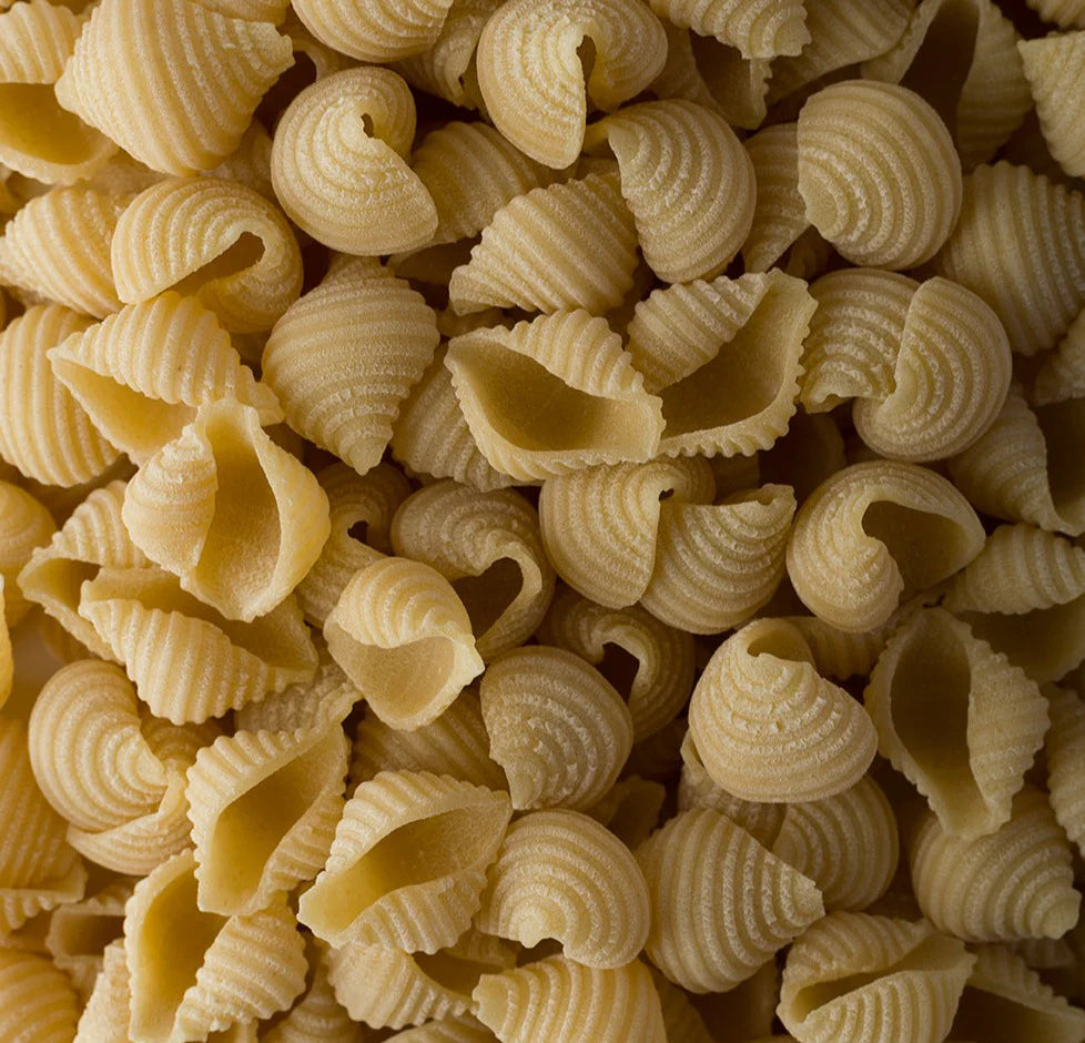 Island Pasta - Conchiglie (500g)