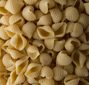 Island Pasta  - Conchiglie (500g)