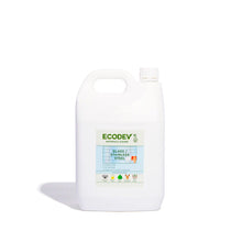 Load image into Gallery viewer, Ecodev - Glass &amp; Stainless Steel Cleaner