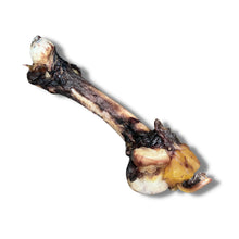 Load image into Gallery viewer, K9 Katering - Emu Shank Bone (2 Pack)