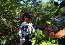 Load image into Gallery viewer, Esky Coffee - Decaf Peru Blend (500g)